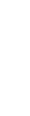新潟県産 高級西洋梨　ル レクチエ