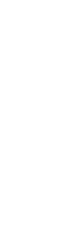 隠れた田上の銘産品　竹の子